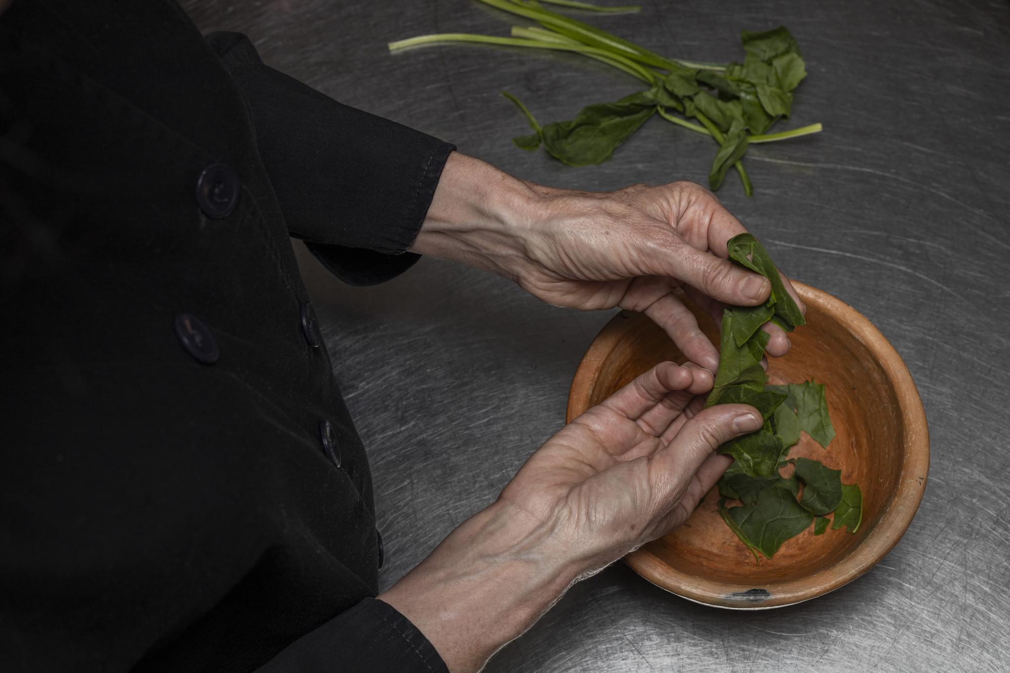 chef plating a rustic dish with local herbs